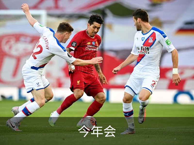 走进今年会
